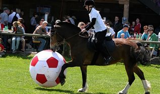pferdefussball1315.jpg